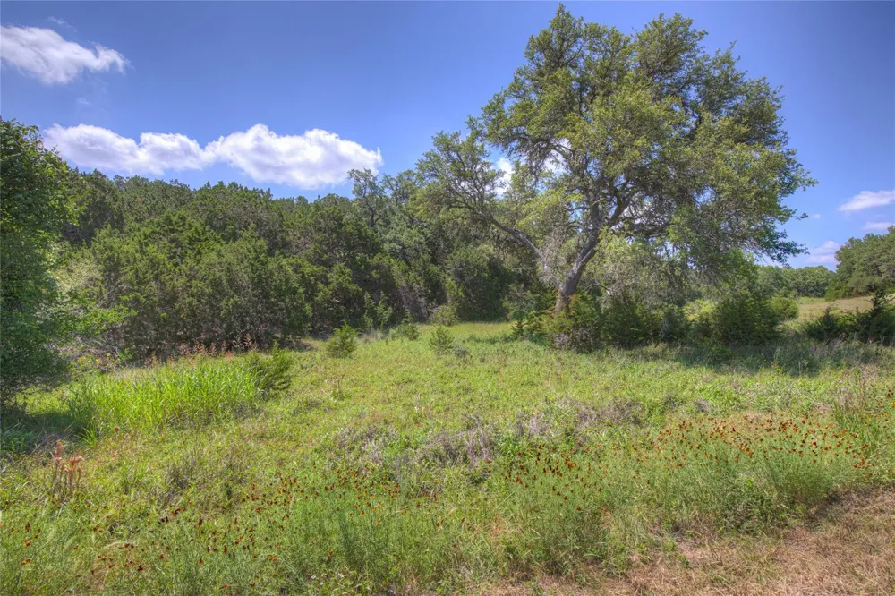 3539 Comal Springs Canyon Lake, TX 78133