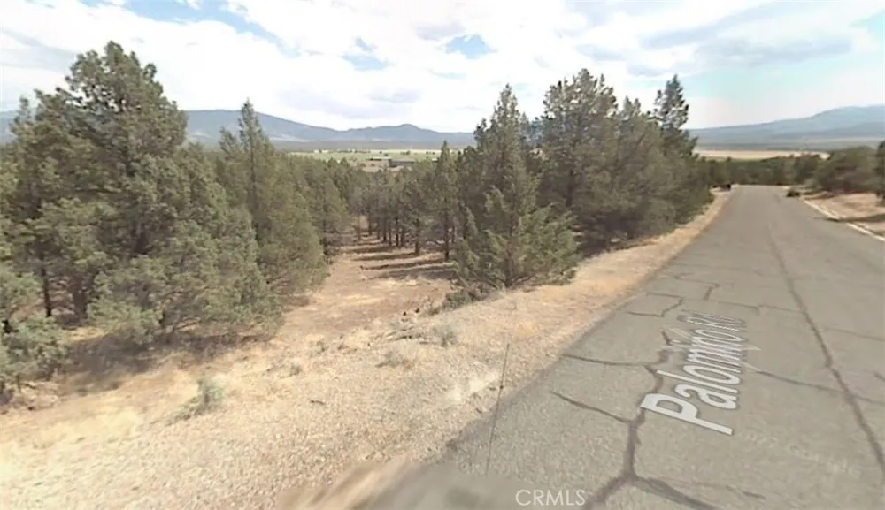 5115 Palomino Rd Weed, CA 96094