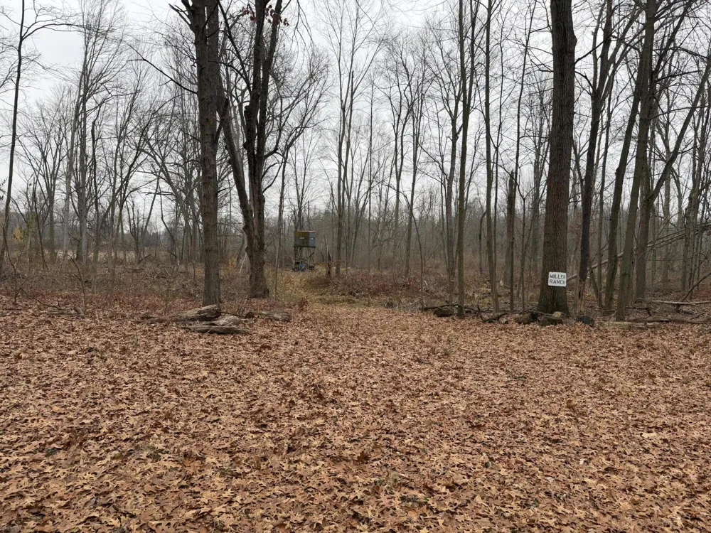 Burtch Road Grass Lake, MI 49240