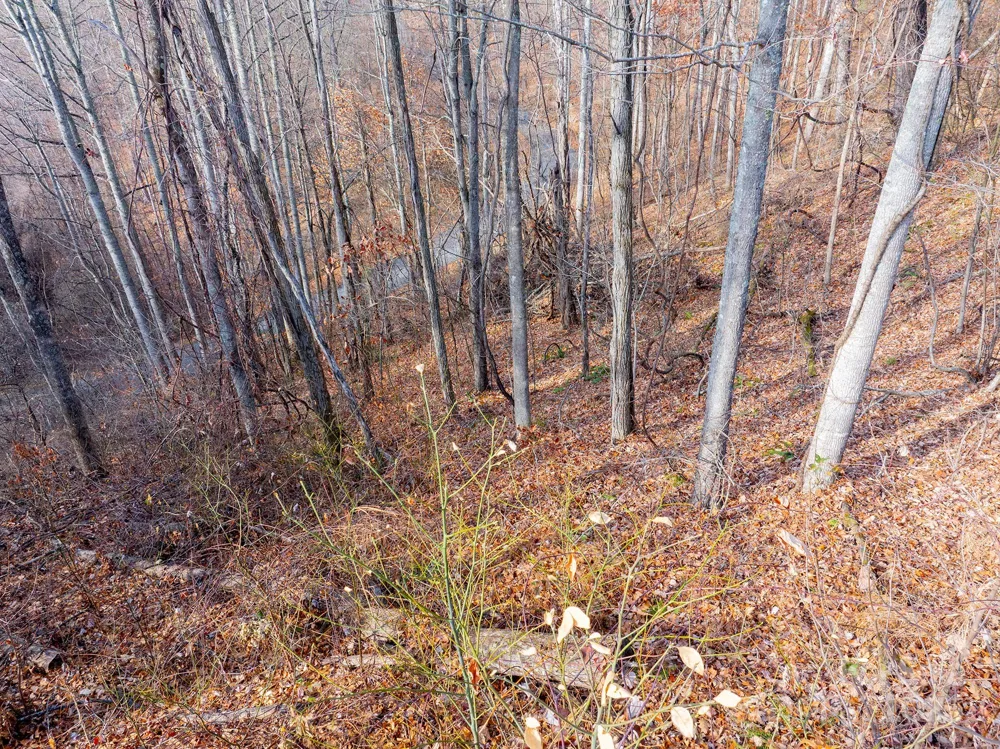 00 Seven Glens Drive #171 Weaverville, NC 28787