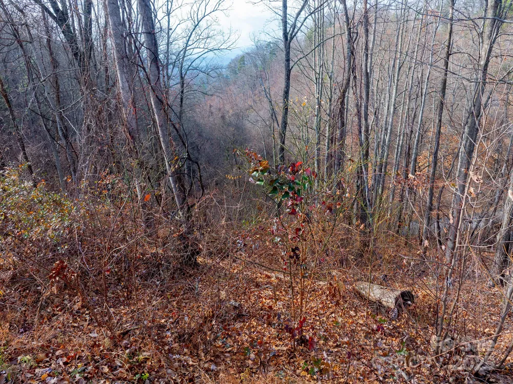 00 Seven Glens Drive #171 Weaverville, NC 28787