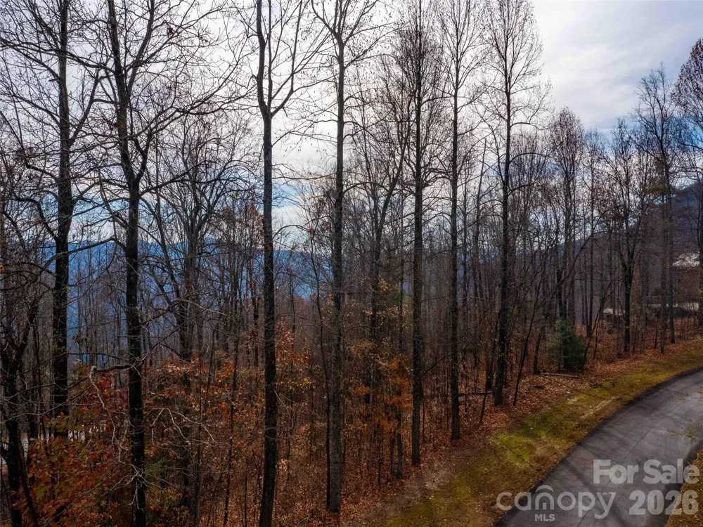 Lot 253 Haddington Drive Mill Spring, NC 28756