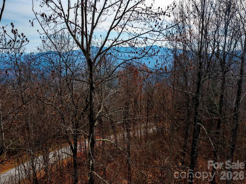 Lot 253 Haddington Drive Mill Spring, NC 28756