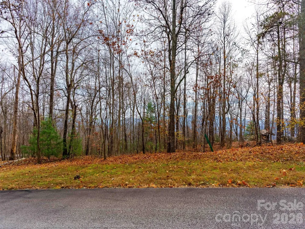 Lot 253 Haddington Drive Mill Spring, NC 28756