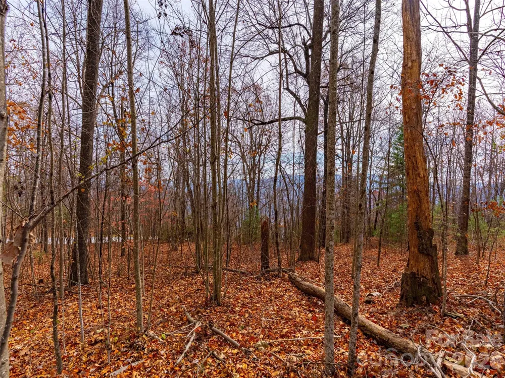 Lot 253 Haddington Drive Mill Spring, NC 28756