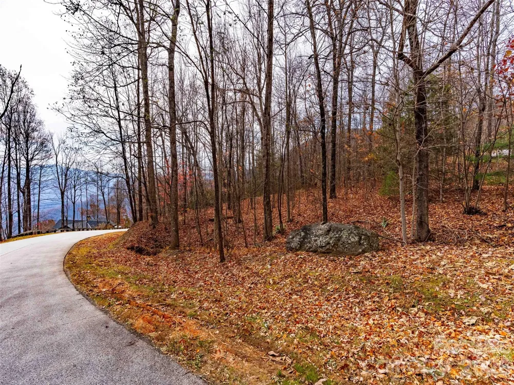 Lot 253 Haddington Drive Mill Spring, NC 28756