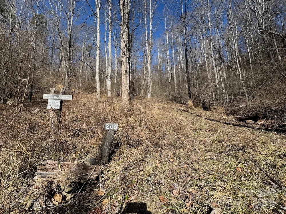 TBD Glen Valley Way #187,200 Weaverville, NC 28787