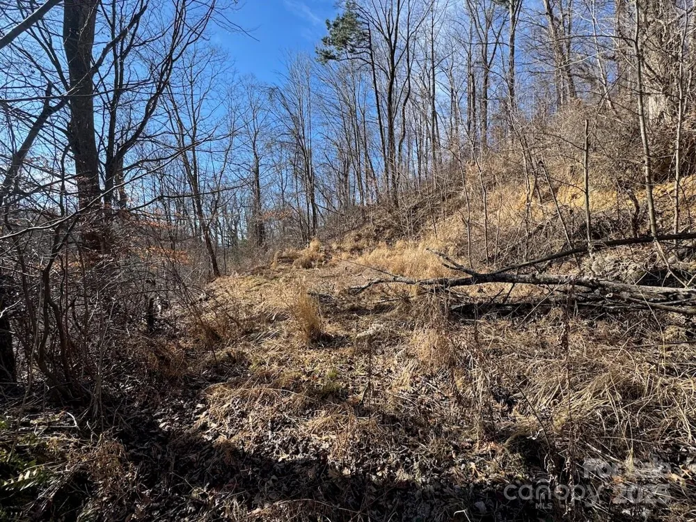 TBD Glen Valley Way #187,200 Weaverville, NC 28787