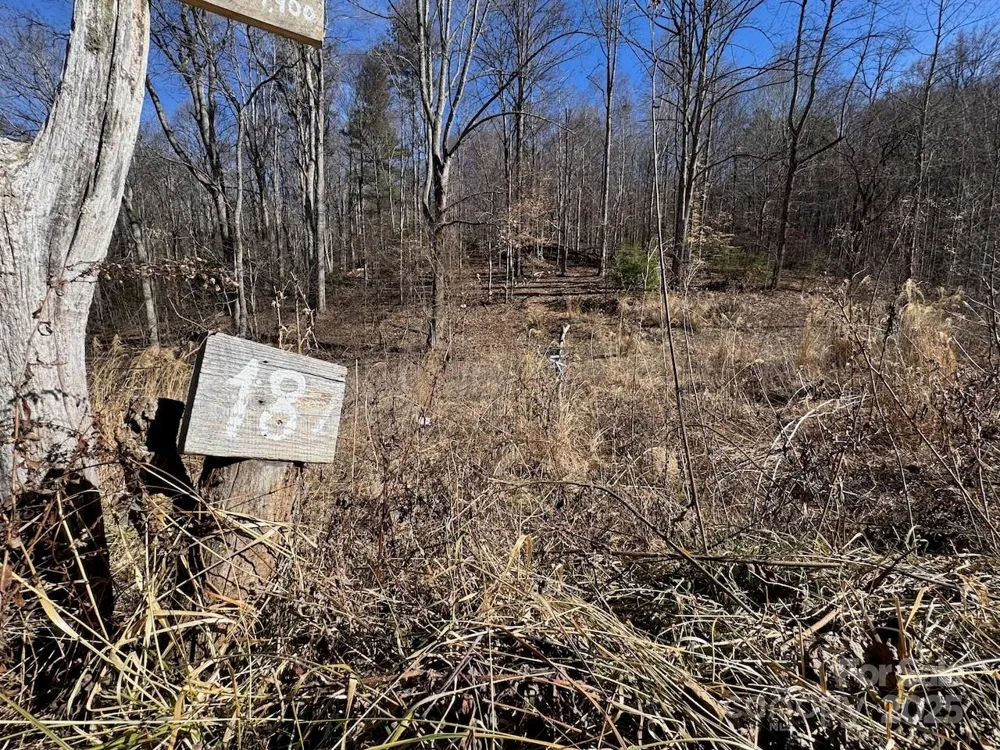 TBD Glen Valley Way #187,200 Weaverville, NC 28787