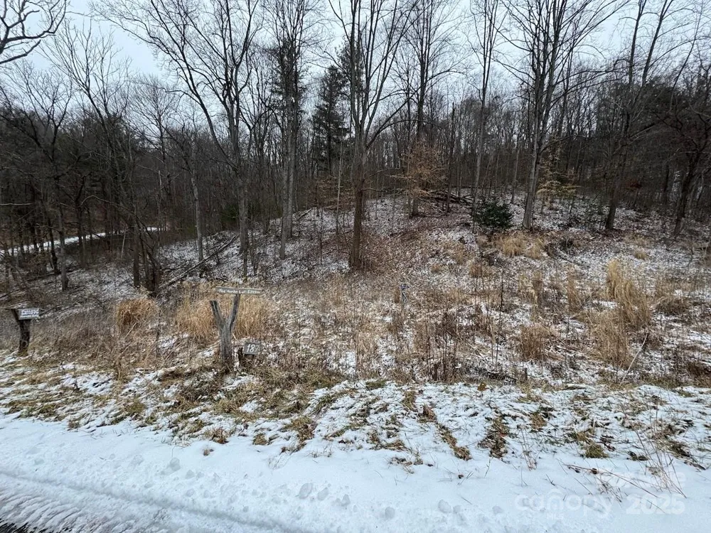 TBD Glen Valley Way #187,200 Weaverville, NC 28787
