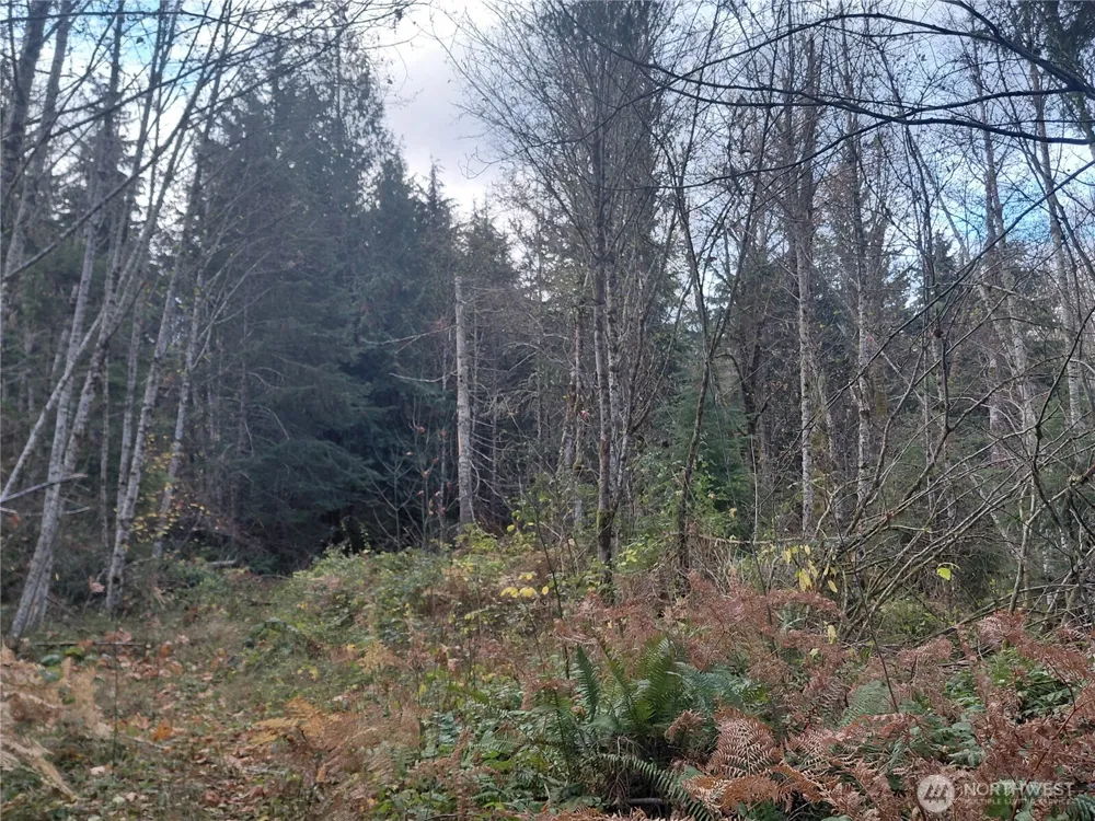 0 Lot 9 Old Barn Road Randle, WA 98377