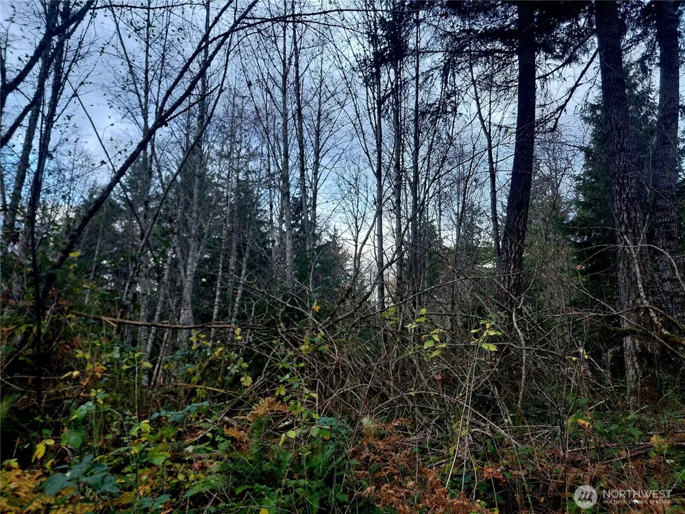0 Lot 9 Old Barn Road Randle, WA 98377