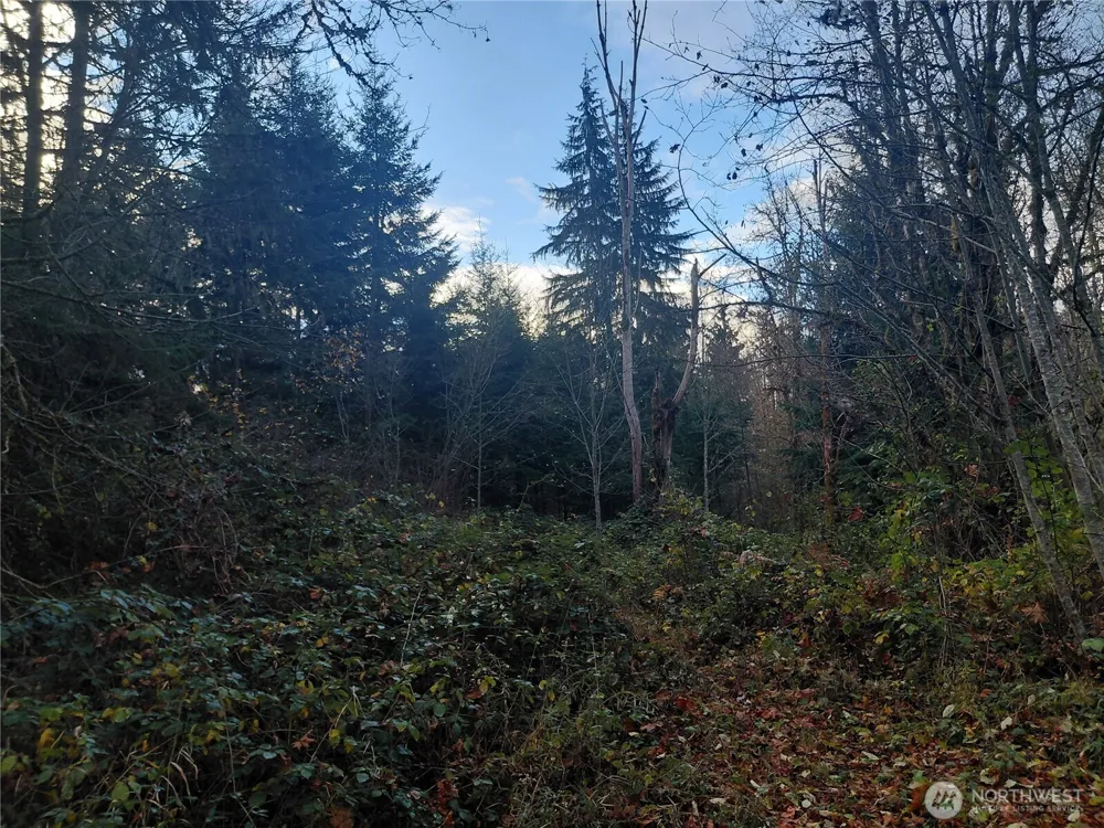 0 Lot 9 Old Barn Road Randle, WA 98377