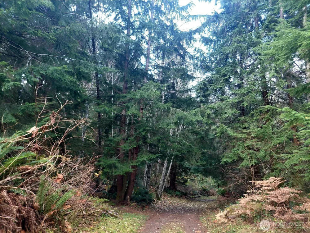 0 Lot 9 Old Barn Road Randle, WA 98377