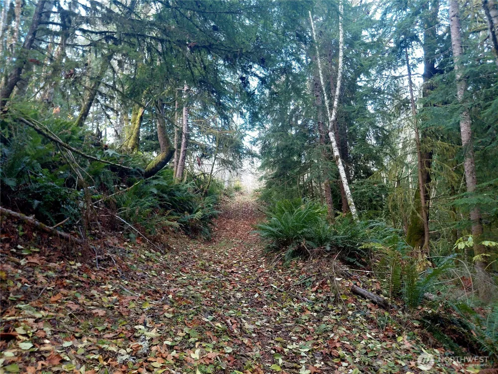 0 Lot 9 Old Barn Road Randle, WA 98377