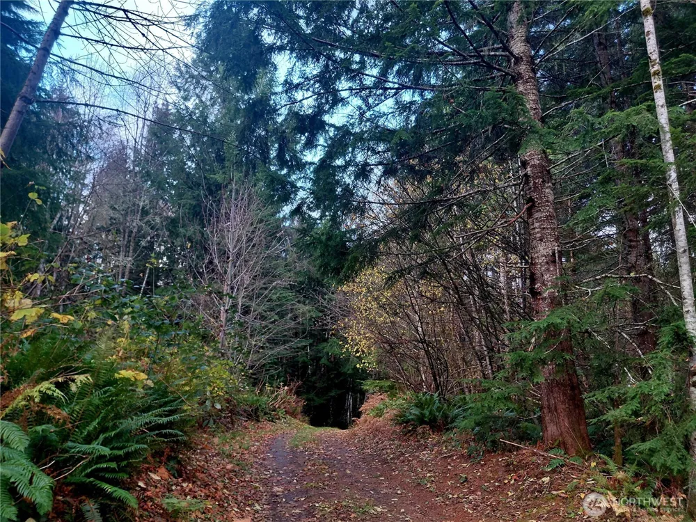 0 Lot 9 Old Barn Road Randle, WA 98377