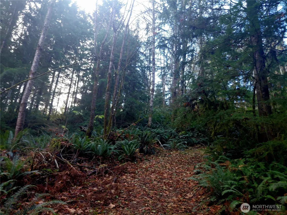 0 Lot 9 Old Barn Road Randle, WA 98377