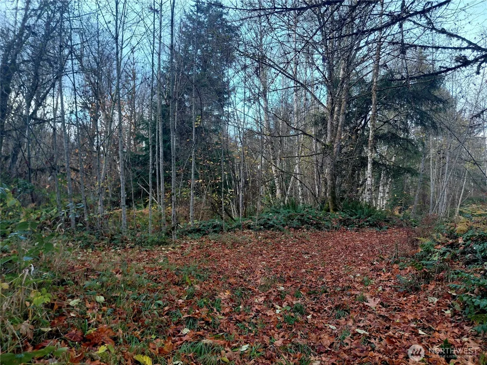 0 Lot 9 Old Barn Road Randle, WA 98377