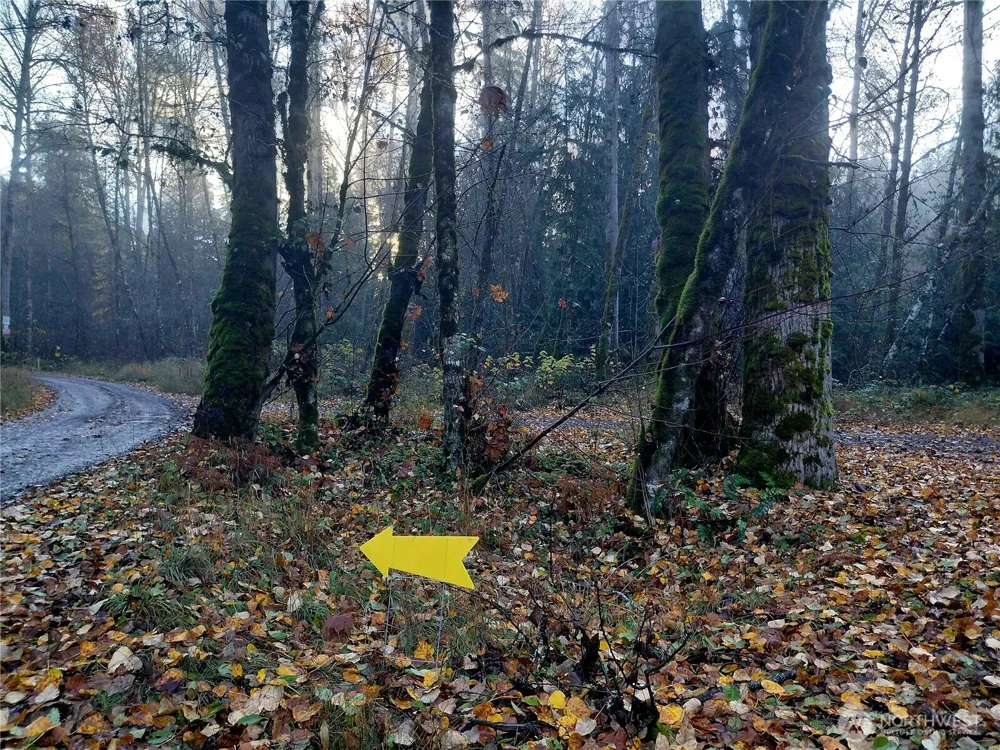0 Lot 9 Old Barn Road Randle, WA 98377