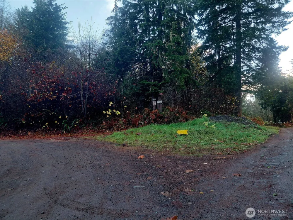 0 Lot 9 Old Barn Road Randle, WA 98377