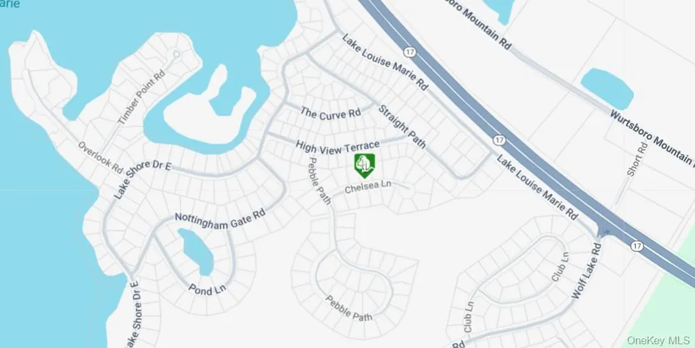 Chelsea Lane Rock Hill, NY 12775