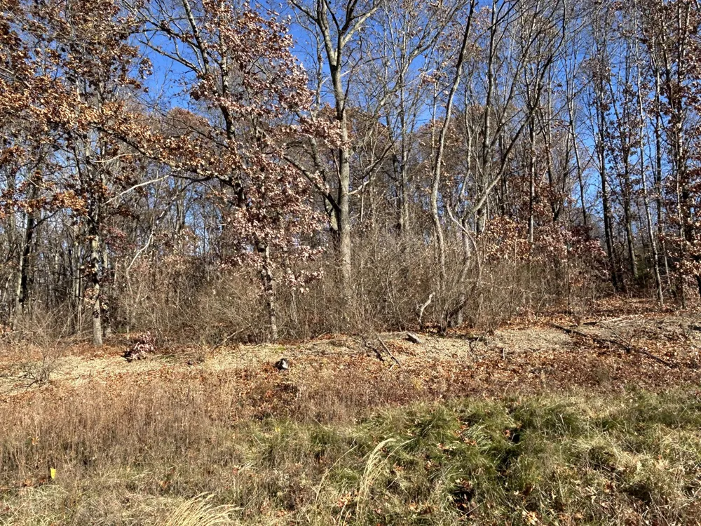 10711 Mystic Heights Trail Mattawan, MI 49071