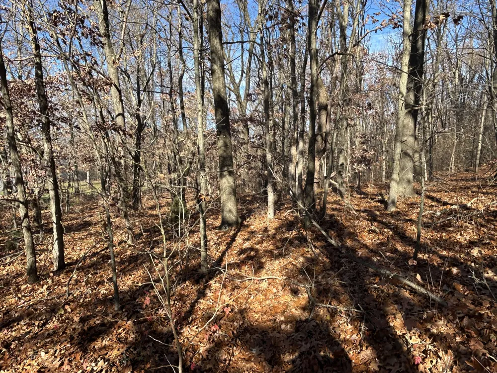 10711 Mystic Heights Trail Mattawan, MI 49071