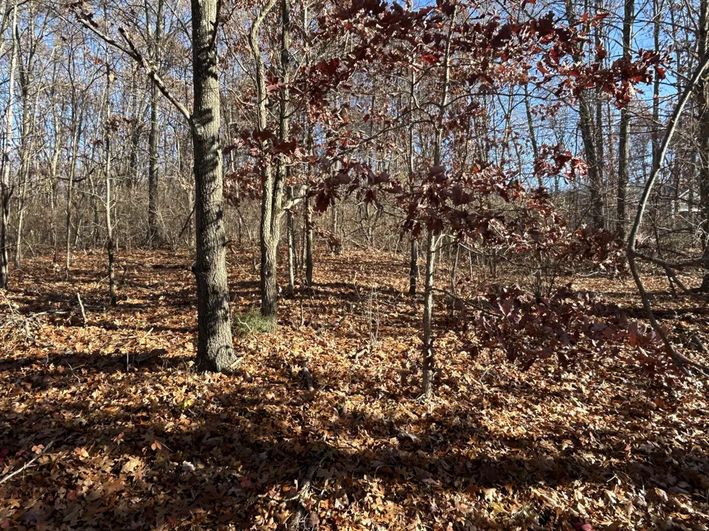 10711 Mystic Heights Trail Mattawan, MI 49071