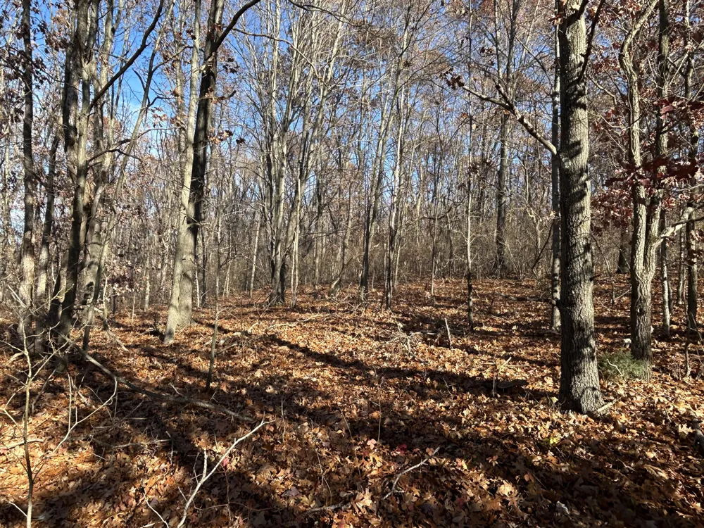 10711 Mystic Heights Trail Mattawan, MI 49071