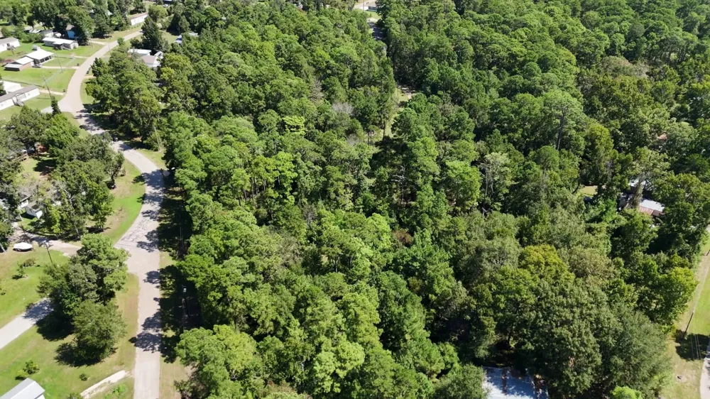 Canyon Drive Onalaska, TX 77360