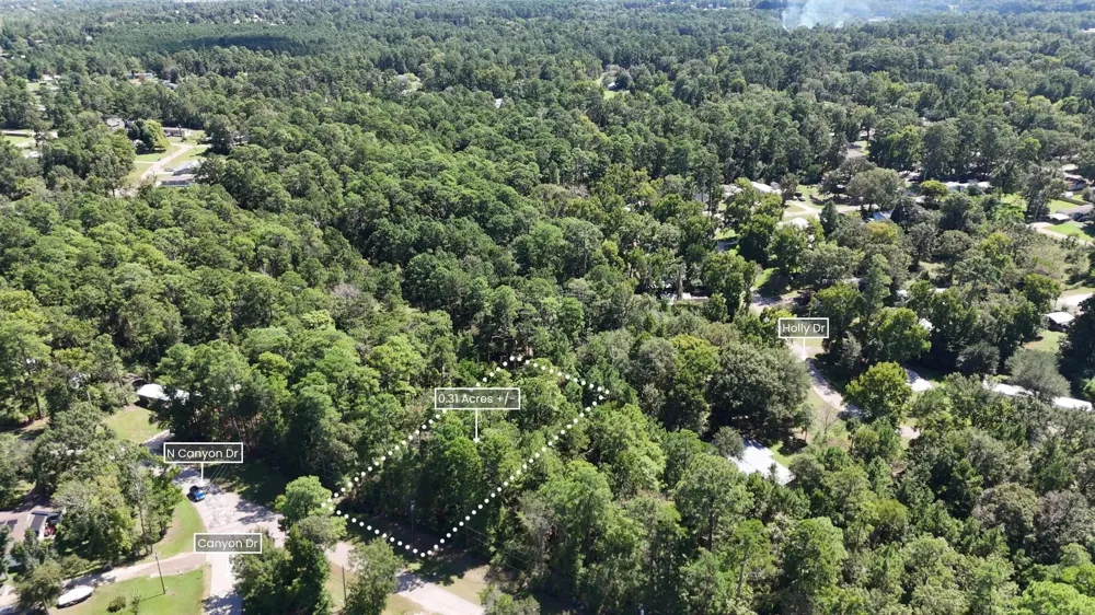 Canyon Drive Onalaska, TX 77360