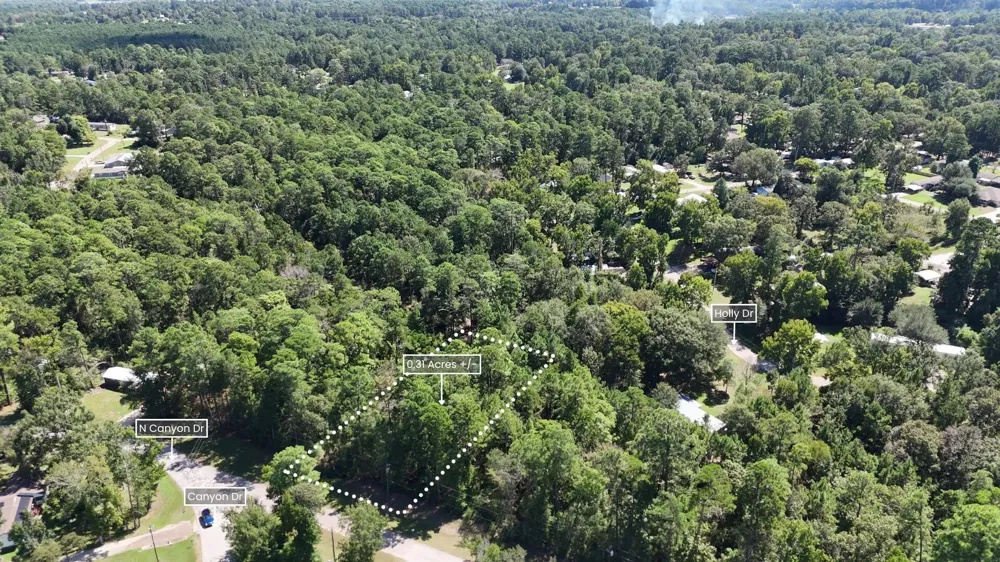 Canyon Drive Onalaska, TX 77360