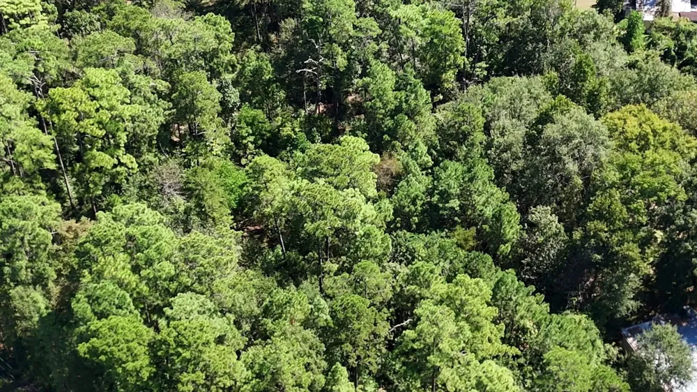 Canyon Drive Onalaska, TX 77360