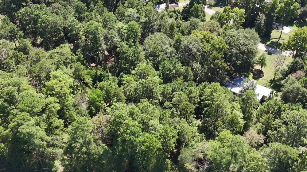 Canyon Drive Onalaska, TX 77360