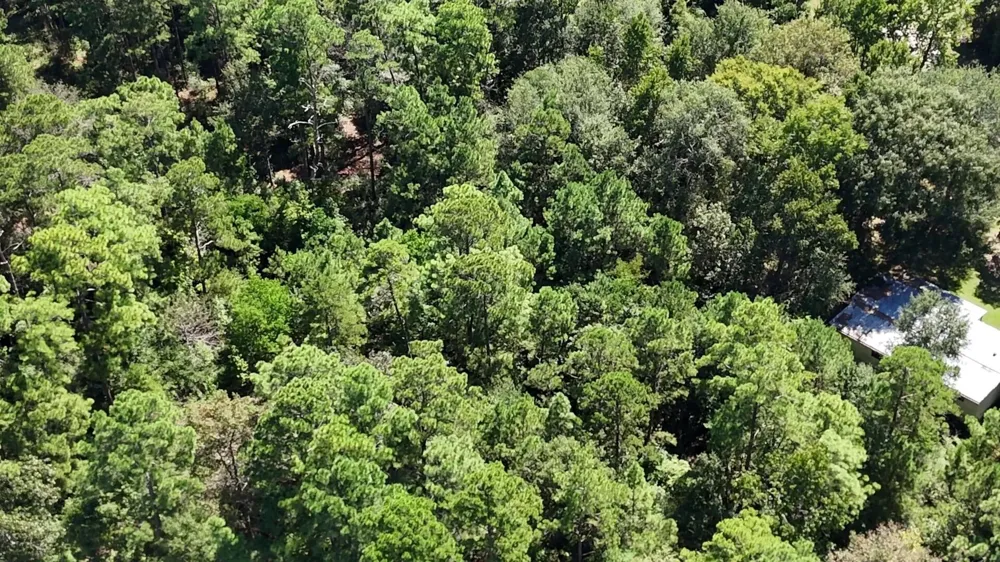 Canyon Drive Onalaska, TX 77360