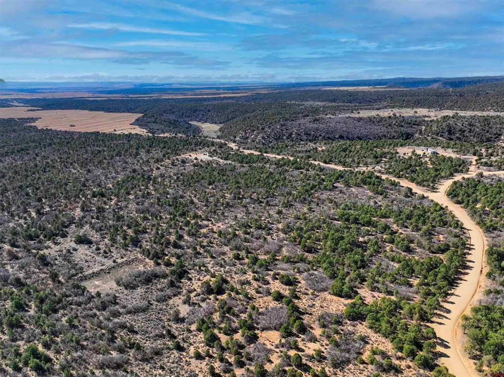 1657 De Oro Way Hesperus, CO 81326