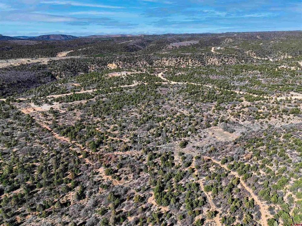 1657 De Oro Way Hesperus, CO 81326
