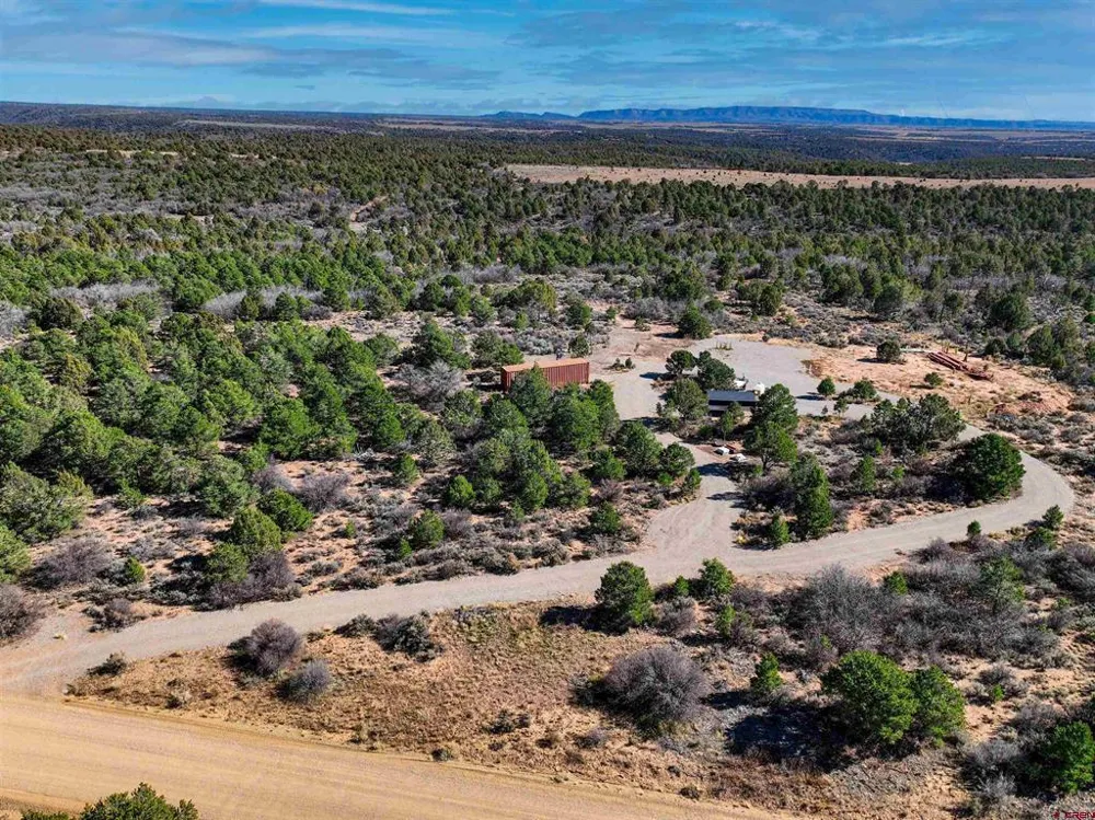 1657 De Oro Way Hesperus, CO 81326