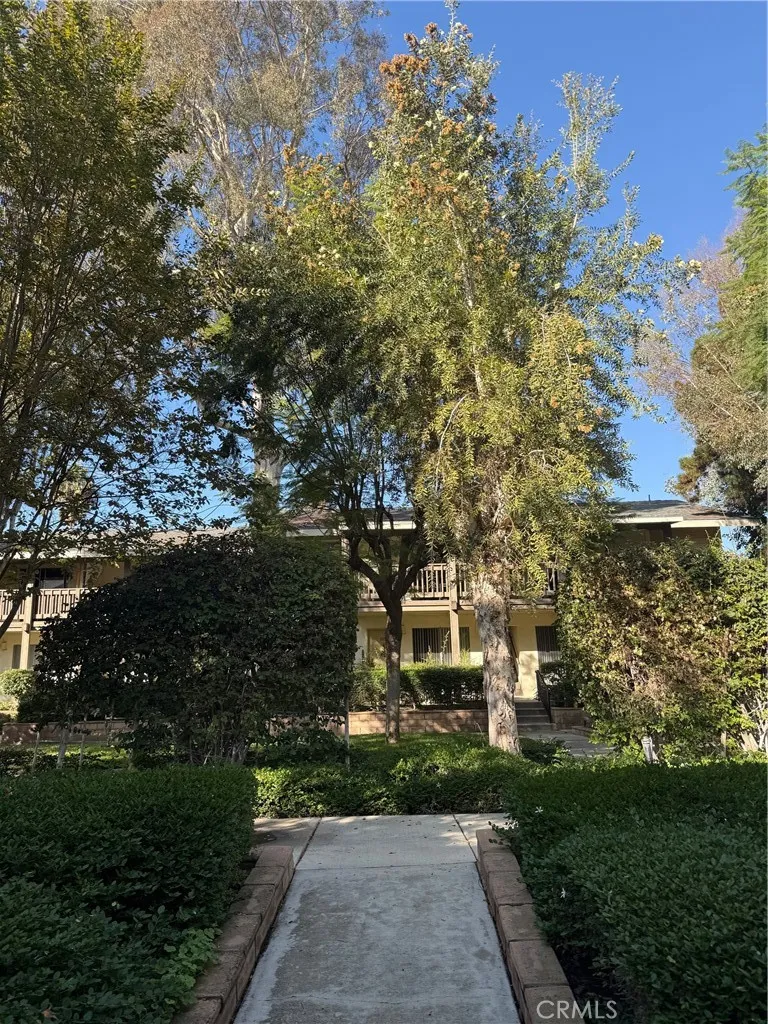 100 S Seranado Orange, CA 92869