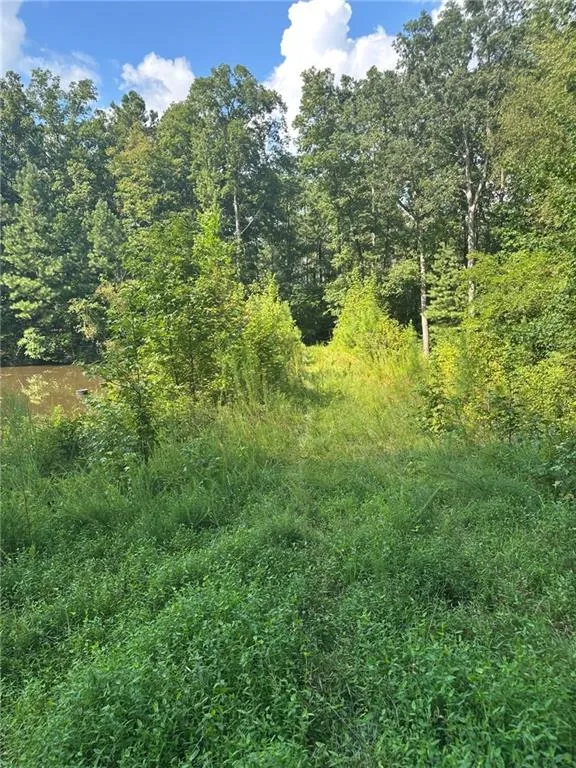 0 Fears Road Madison, GA 30650