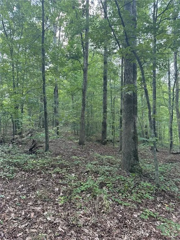 0 Fears Road Madison, GA 30650