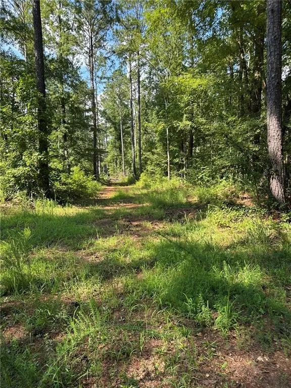 0 Fears Road Madison, GA 30650