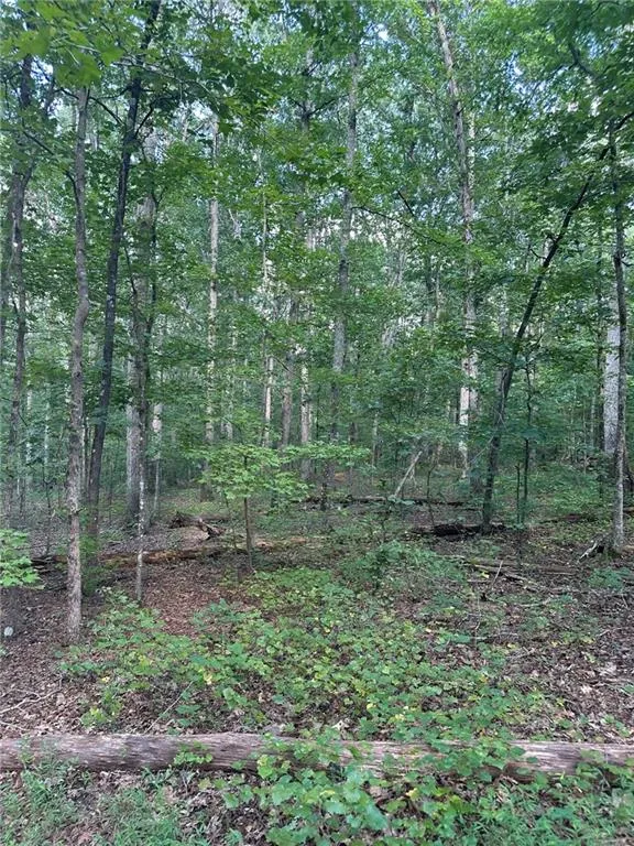 0 Fears Road Madison, GA 30650
