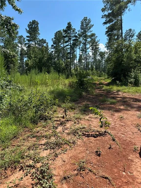 00 Fears Road Madison, GA 30650