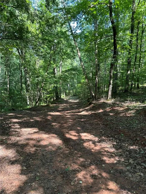 00 Fears Road Madison, GA 30650