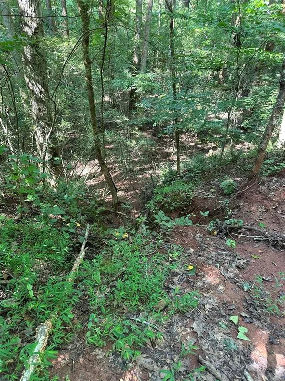 00 Fears Road Madison, GA 30650