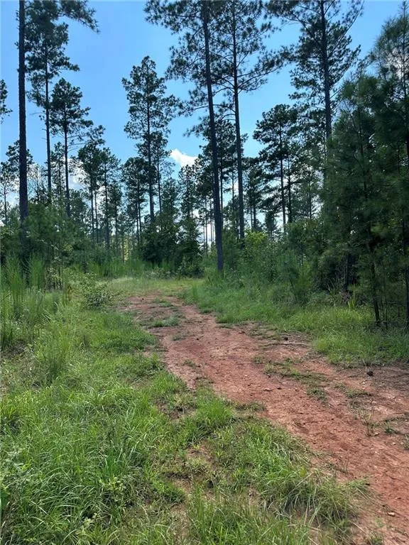 00 Fears Road Madison, GA 30650