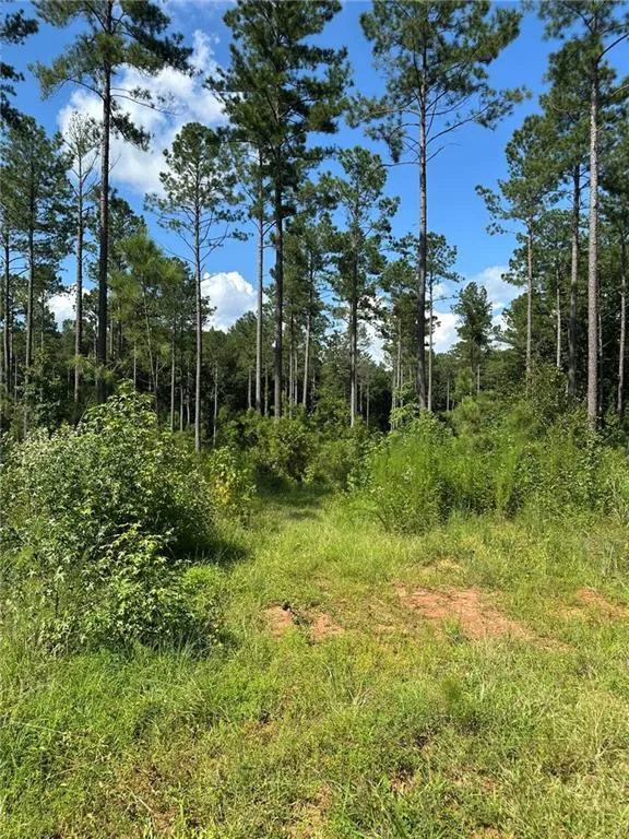 00 Fears Road Madison, GA 30650