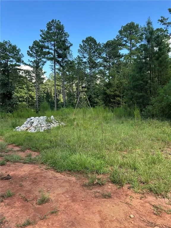 00 Fears Road Madison, GA 30650