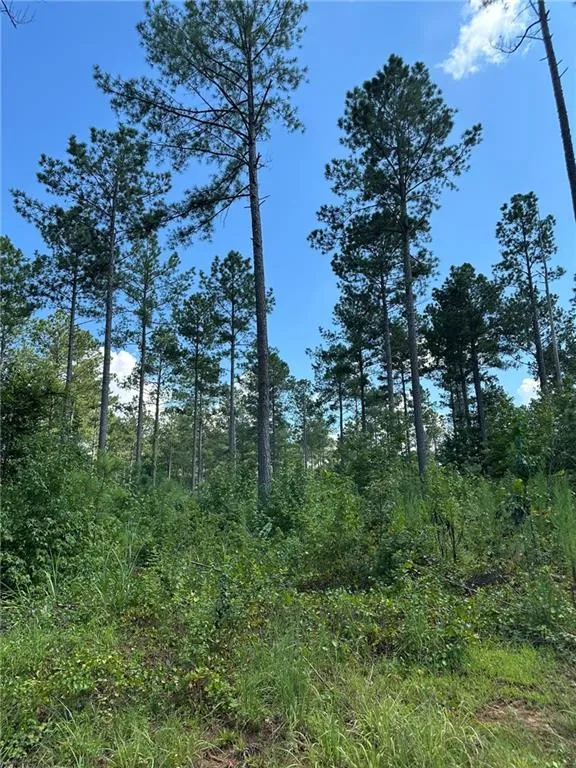 00 Fears Road Madison, GA 30650